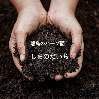 新ビデンスピローサ　タブレット4本セット 新ビデンスピローサ タブレット4本セット 楽天市場