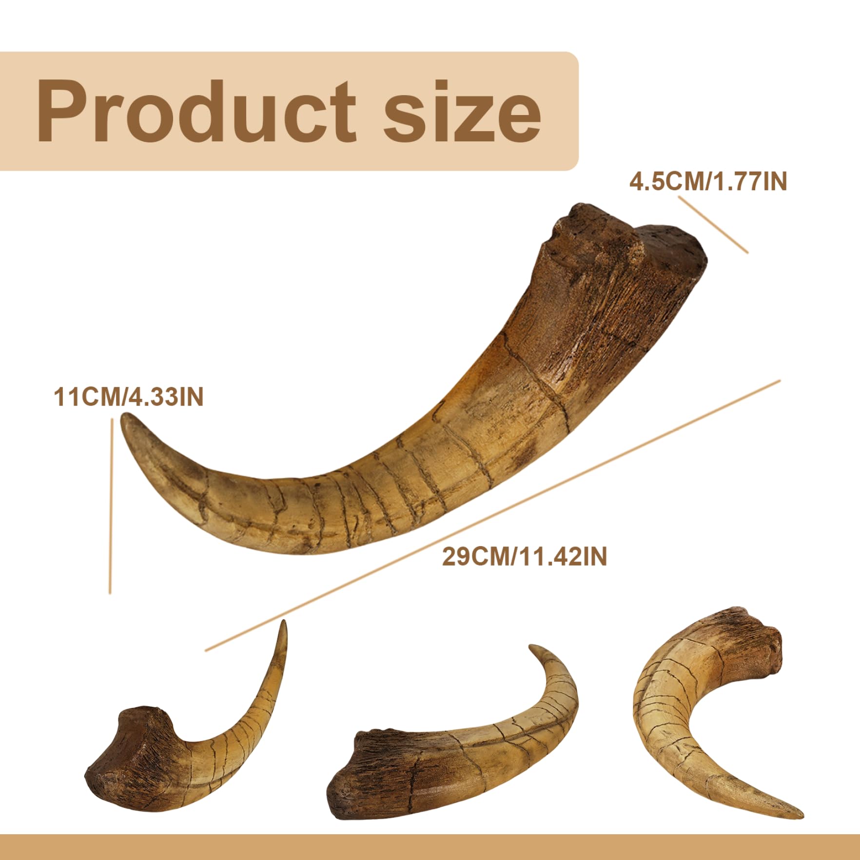 Artigli di dinosauro Artigli fossilizzati realistici Decorazione della stanza di dinosauro Regali in resina robusti e squisiti per adulti Bambini o qualsiasi appassionato, Decorazione della camera