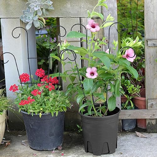 Miniatura 5 de 6 piezas de enrejado para plantas en maceta, enrejado de jardín de metal de 15.7 pulgadas para plantas trepadoras al aire libre en interiores,