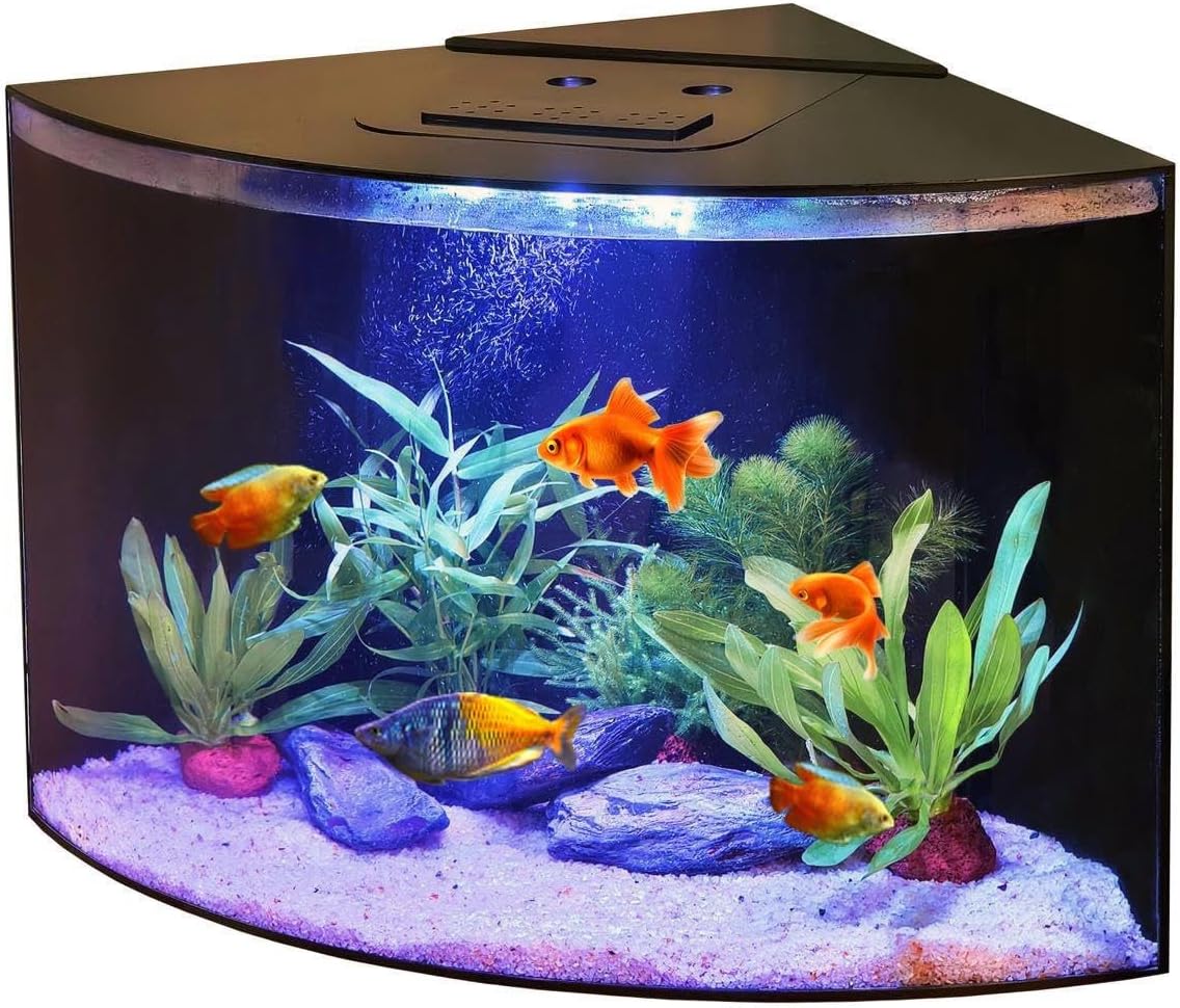 Aquabubble - Acrylic Corner Fish Tank 12,5 Gallon-Corner Aquarium for Goldfish,Betta Fish -Large Triangle Acquarium Bowl-Built-in Pump Filter,LED Lighting & Bluetooth App Control -No Stand Included