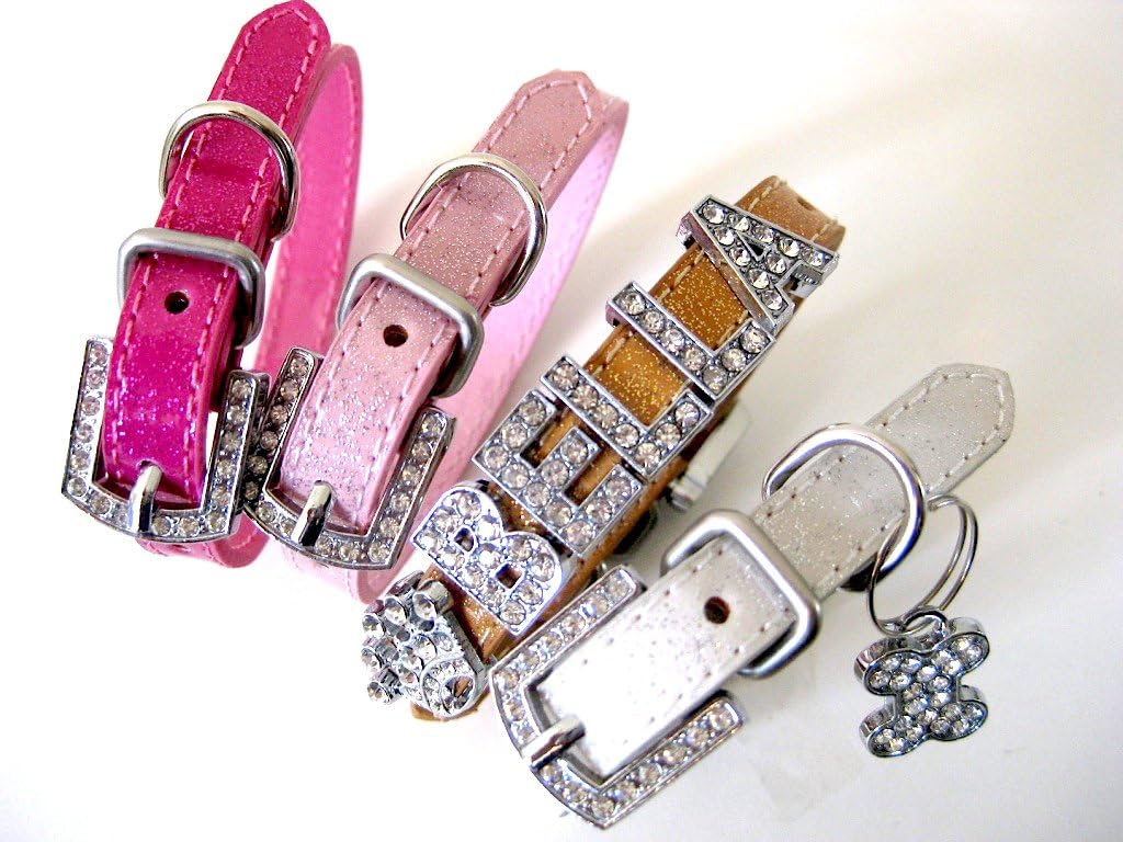 House of Furbaby Extra Small Dog Collar | Personalized Dog Collar | The Sparkles | Chihuahua Collar | Platinum w/Leash- XS