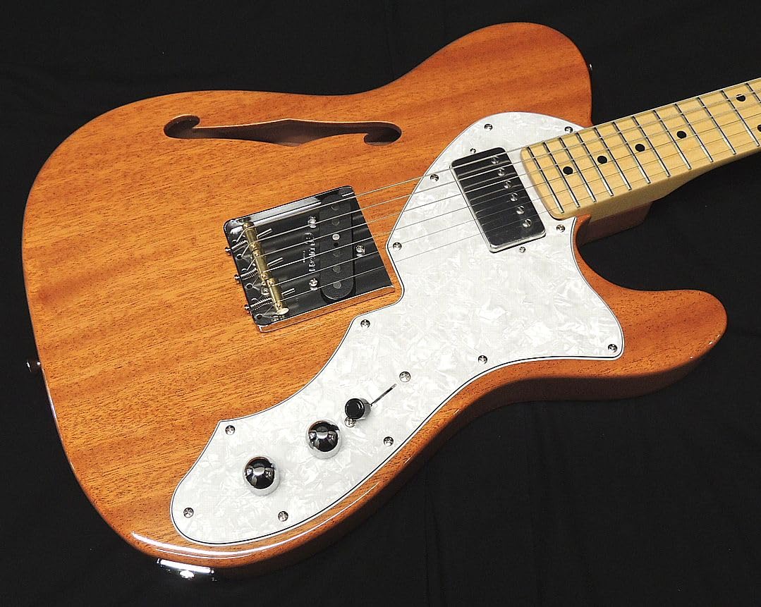 Amazon | FGN FUJIGEN NTE110MMHT NT フジゲン Neo Classic SERIES