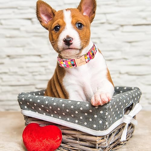 Miniatura 9 de Lionheart glory Collar para el día de San Valentín, collares de perro con corazones rojos para perros pequeños y lindos collares de primavera para