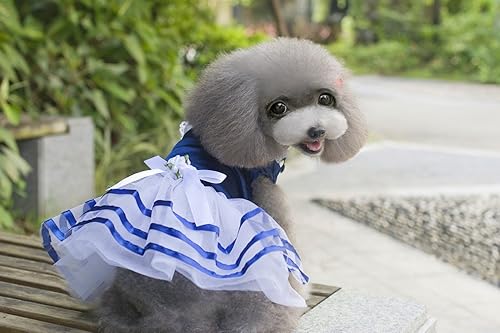 Miniatura 3 de Clopon Accesorios para perros, ropa para perros niñas, vestidos lindos de Navidad para vestido de princesa pequeña, talla M