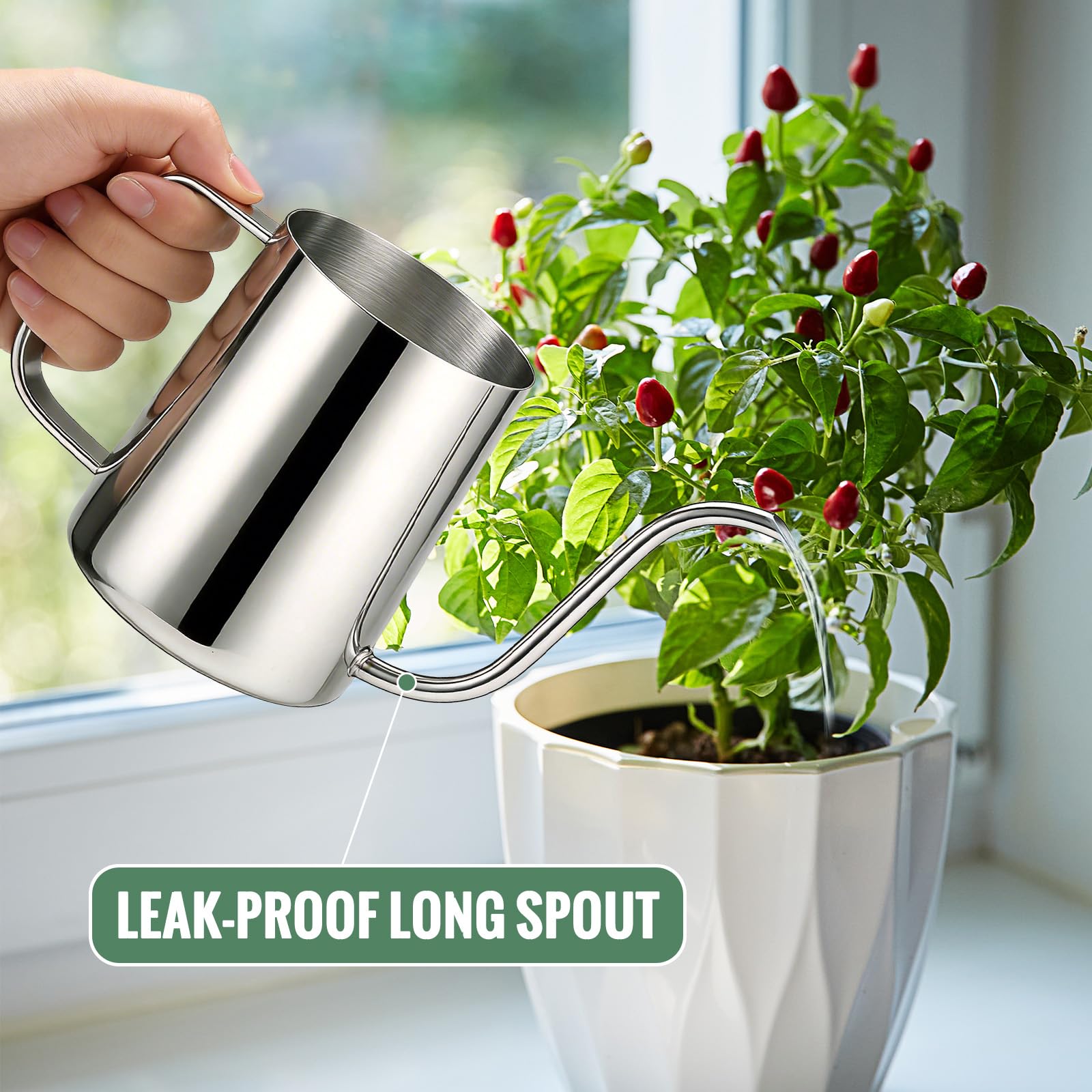 Small Watering Can for Indoor Plants - 20 oz Mini Indoor Watering Can with Long Spout Gooseneck Rust-Proof Stainless Steel Tiny Watering Kettle for Small Plants - 4