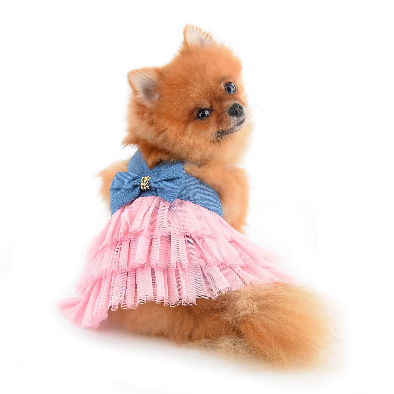 PAIDEFUL Small Dog Dress Striped Denim Organza Bow Beads Tutu Skirt Summer Soft Comfortable Breathable Puppy Clothes Sleeveless Button Kitten Apparel - Image 3