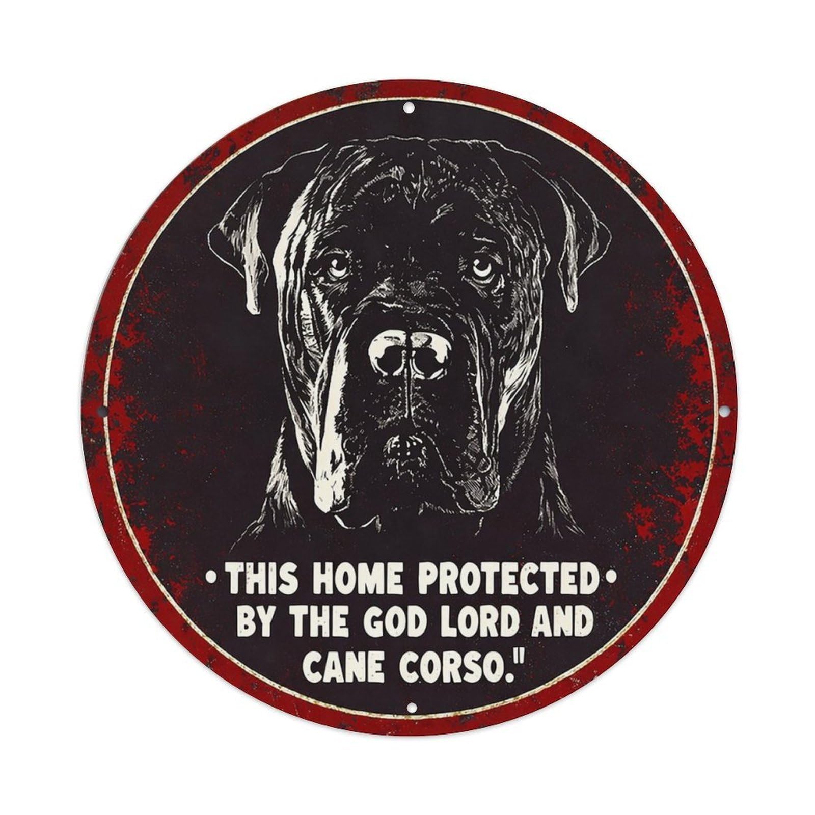 Jdyansheng Vintage This Home Protected By God Tin Sign Metal Poster Metal Signs For Home Man Cave Bar Cafe Kitchen Laundry Room Wall Decorations 8X8 Inches