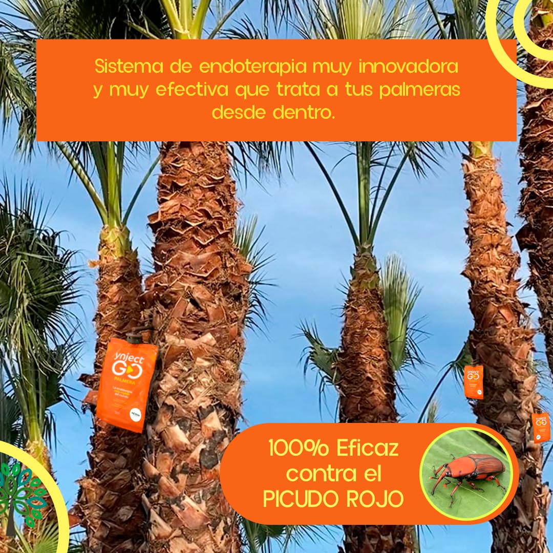 PACK x10 Tratamiento Picudo Rojo Palmeras | Inyecciones con Endoterapia para Insecticida Picudo Rojo | Ynject GO Palmera | INCLUYE CONECTOR | Sin Insecticida | 100% eficaz | Nexum Market