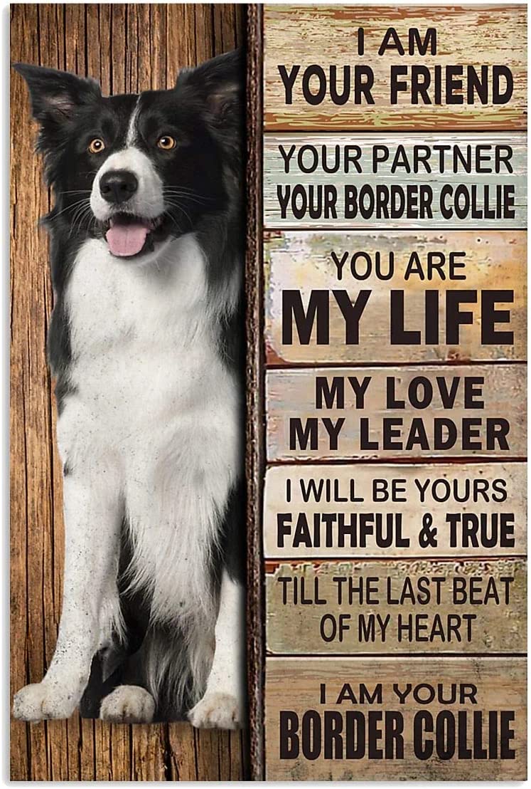 I am your friend your partner your border collie with wood theme for home decoration metal tin sign 6x8 inches