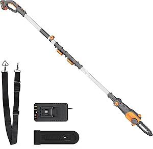 Seghe a catena worx thumbnail classifica