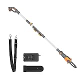 Worx WG349E Pole Chainsaw