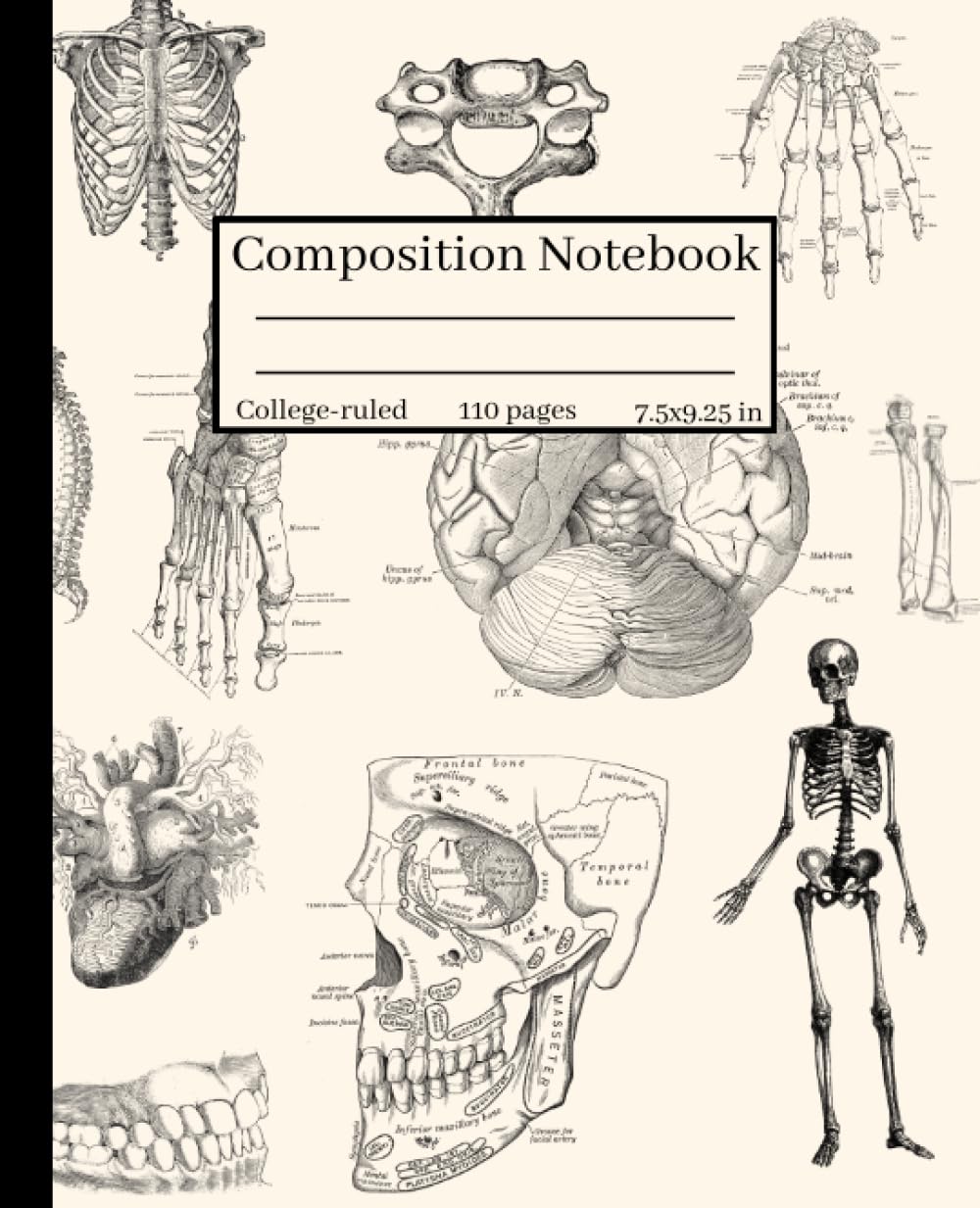 Independently published Composition Notebook College-ruled : Human Anatomy and Physiology Illustration: For Back to School, College, Medical Students, Nurses, Researchers or Work