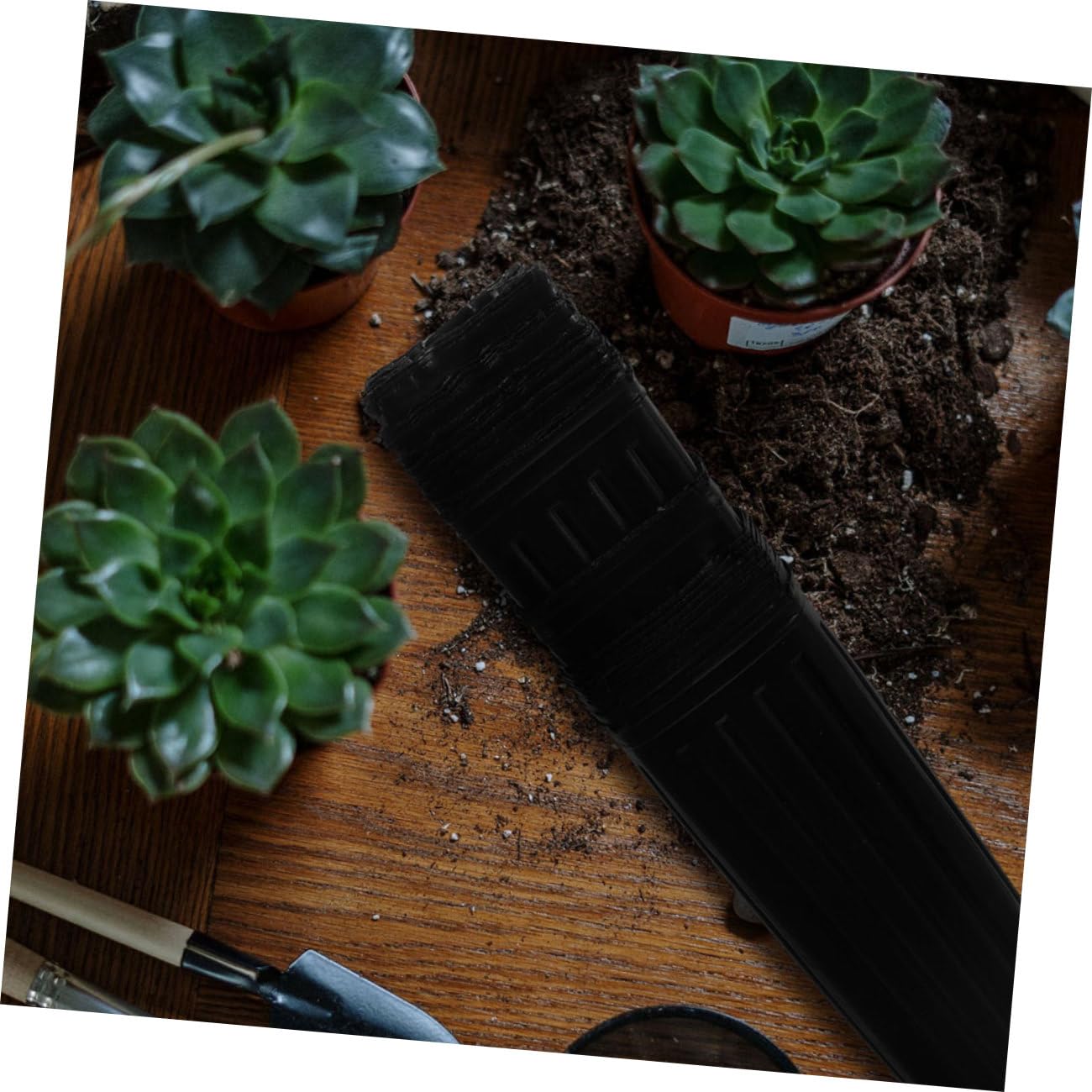 Toddmomy 60pcs Pots de Semis Noirs en PP Épais pour Protection des Racines, Tubes pour Semis Multi-usages, Adaptés pour Arbres et Fleurs en Jardin Intérieur ou Extérieur