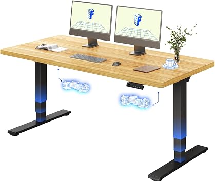 FLEXISPOT E5 Electric Standing Desk 2 Motors 3 Stage 160 * 80CM One Piece Desktop Height Adjustable Desk with Memory Smart Panel, Anti-collision System, Black+Maple