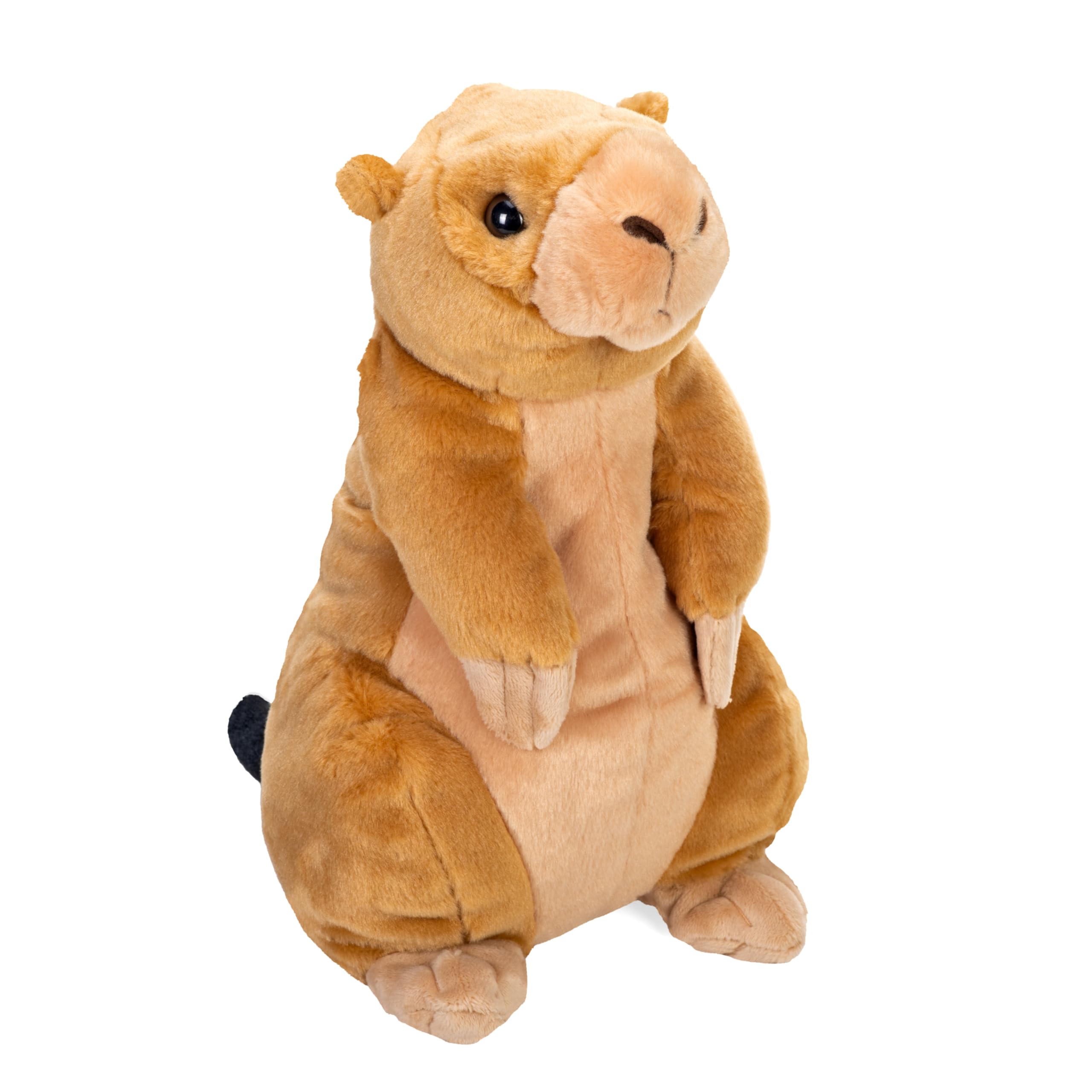 Amazon.com: Wild Republic Cuddlekins Prairie Dog Stuffed Animal