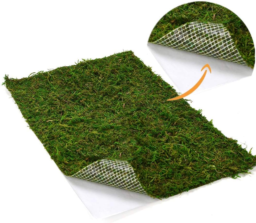 BYHER Dried Moss Mat for Wedding Birthday Party Fairy Garden Decorations, Dark Green (Green - 14" X 9")