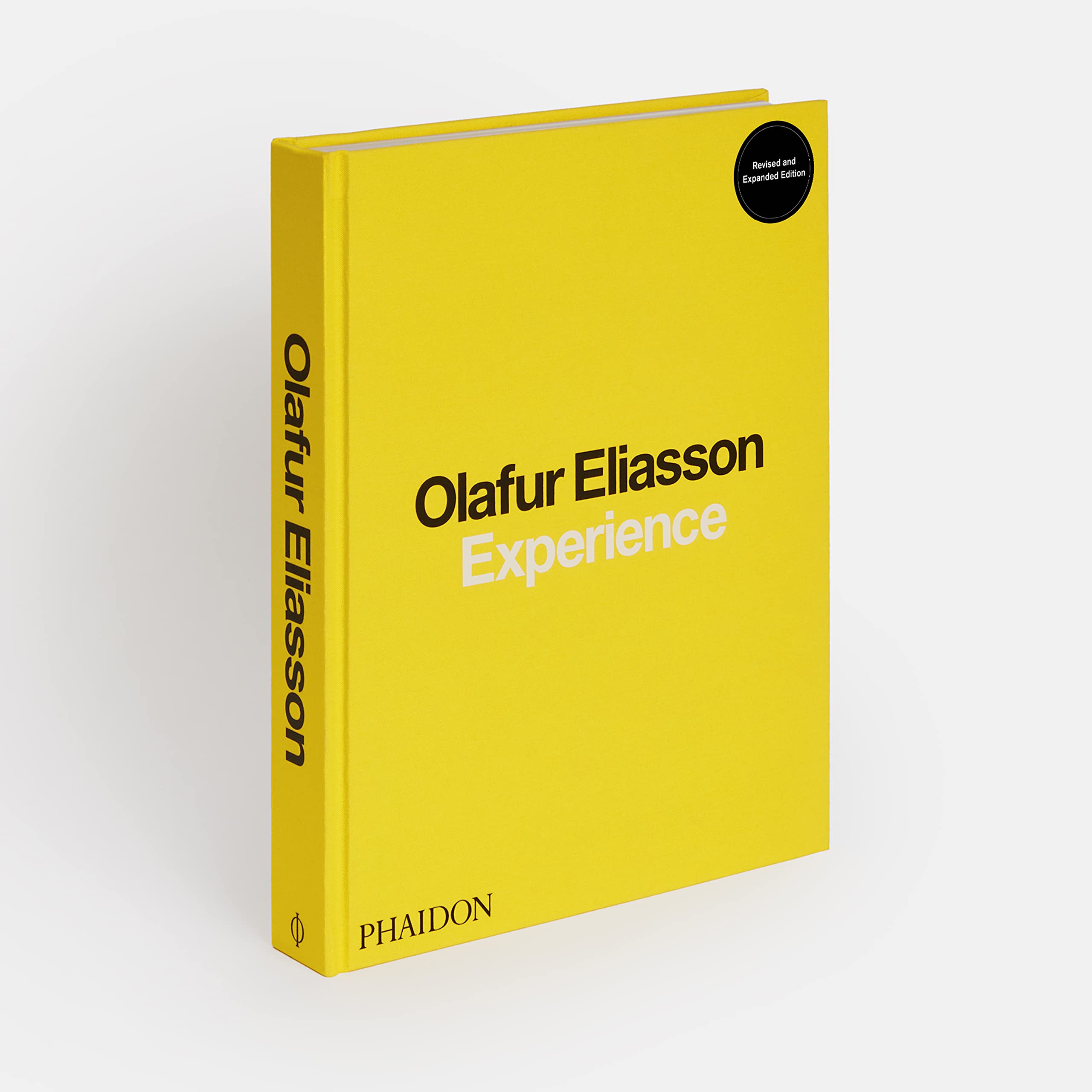 Olafur Eliasson. Experience