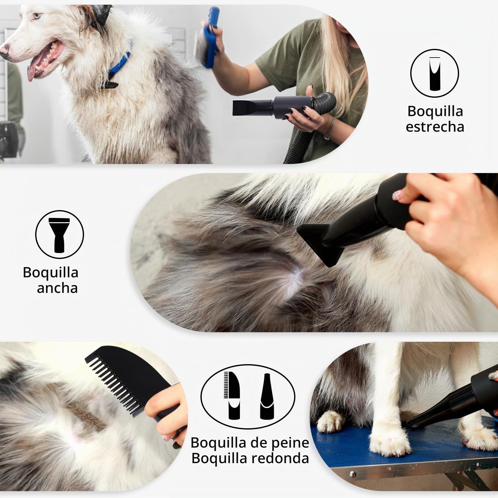 Secador de Pelo de Perro Blaster 3000 W, Secador de Pelo para Mascotas, Calentador de Temperatura de bajo Ruido con 4 boquillas Diferentes,Negro Profundo