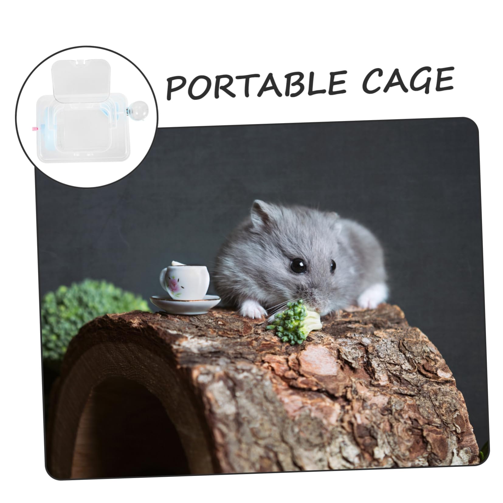 BESPORTBLE 4pezzi Trasportino Portatile Per Criceti e Piccoli Animali Gabbietta Trasparente Per Viaggi Design Multifunzionale e Spazioso Per Topi Furetti e Porcellini