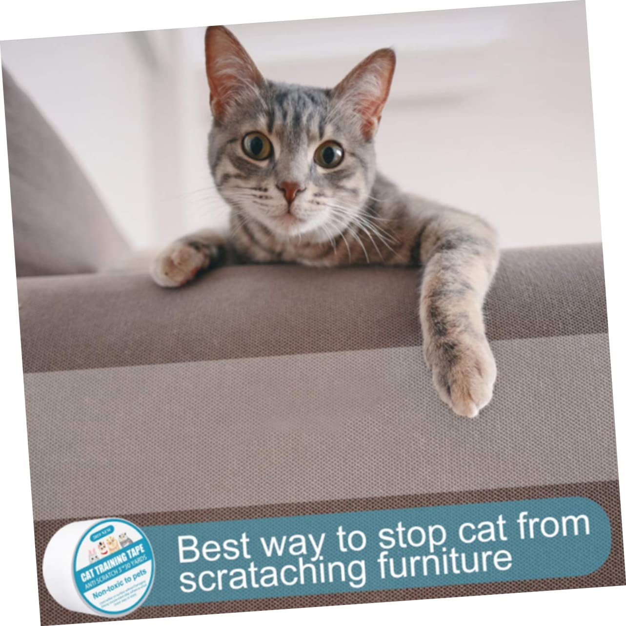 FRCOLOR 3 unidades de cinta rascador para gatos para muebles, transparente, protección contra arañazos, para muebles, gatos, alfombras, para mascotas, cinta adhesiva, protección de muebles, protección