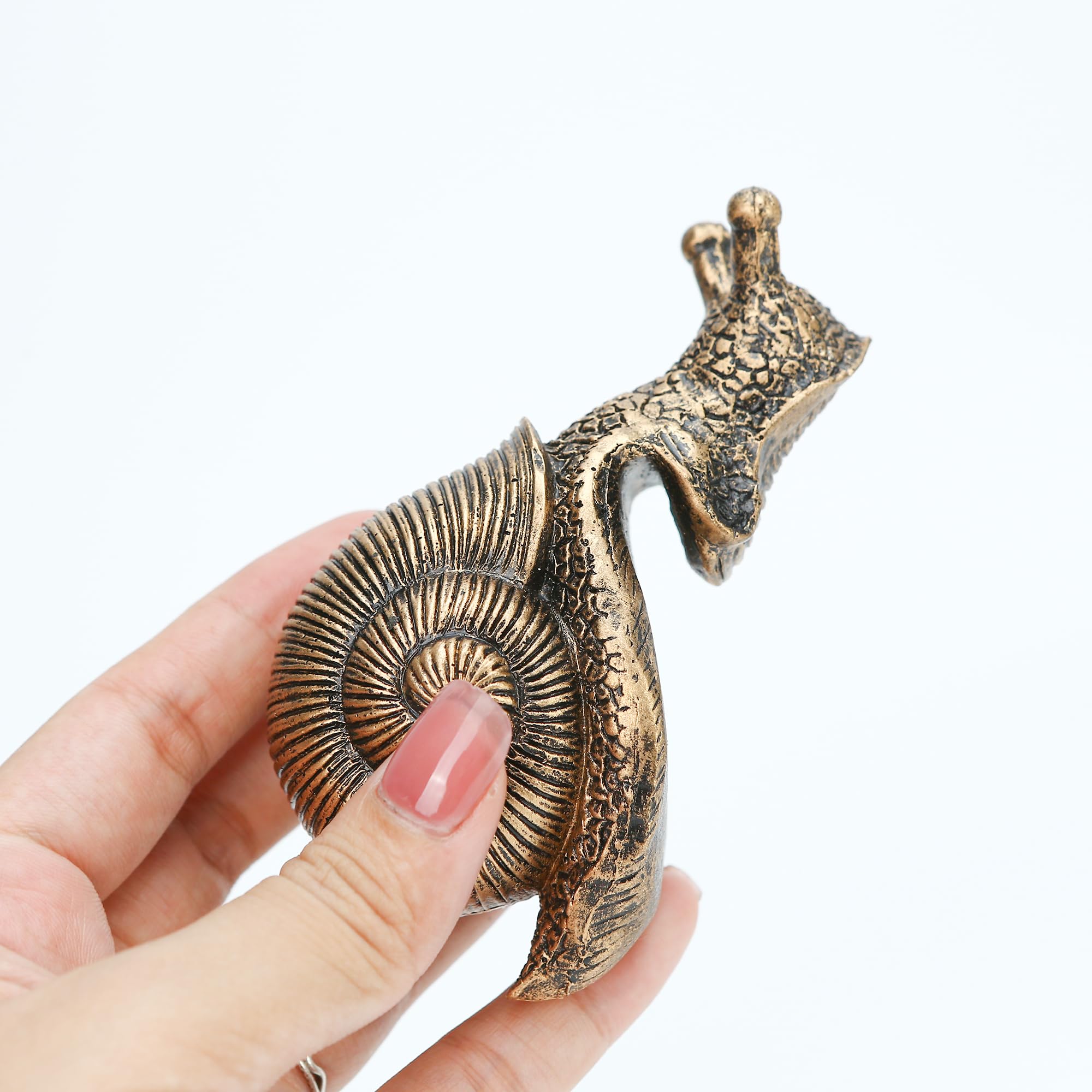 不二とカタツムリの花瓶 71ZtCArEMrL._AC_UL210_SR210,