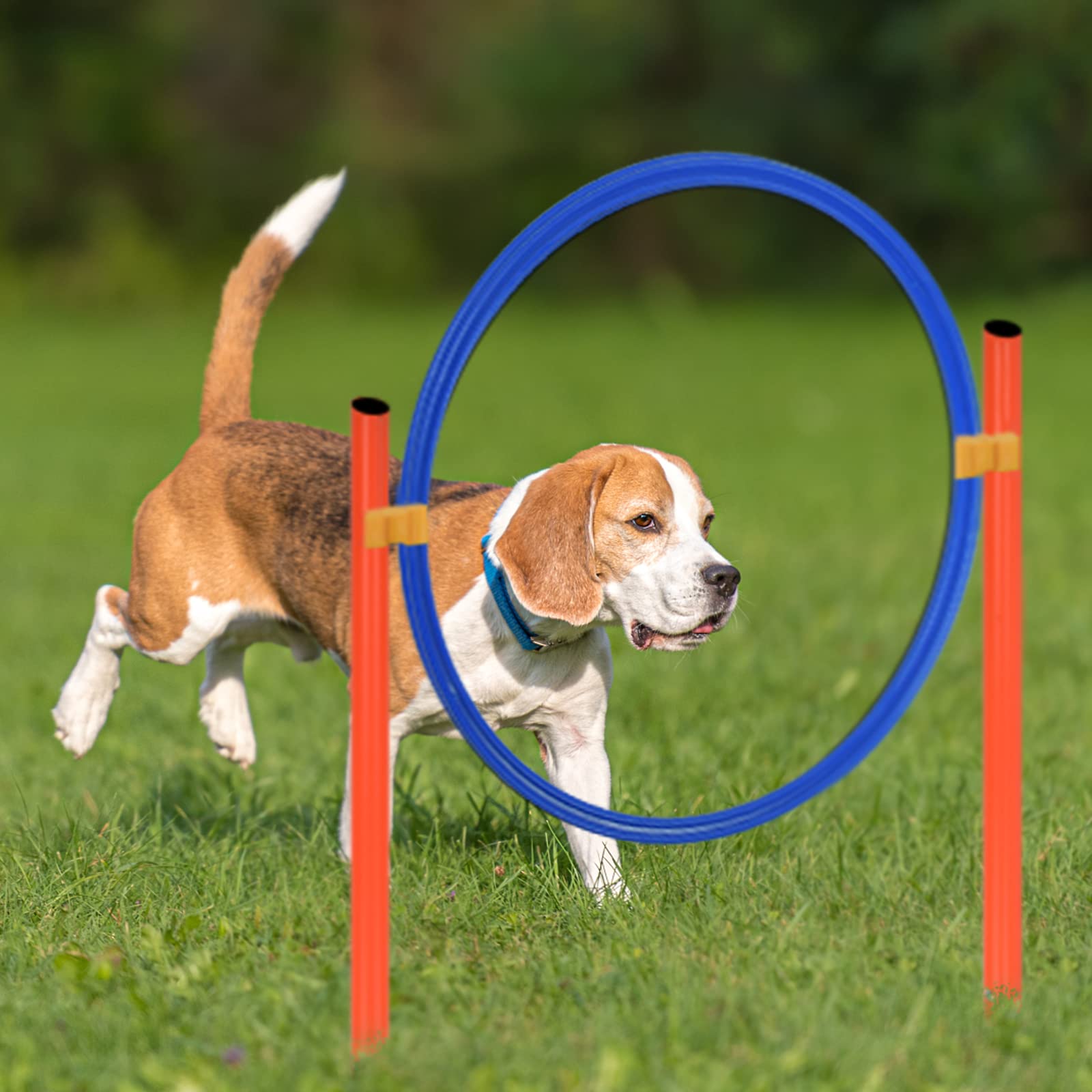Aufun Agility Ausrüstungs Set für Hunde, Training Hindernisse mit Hundetunnel,Geflochtene Stangen, Springring, Hürdenstange, Verstellbare Höhe, Konische Fässer inkl. Tragetasche