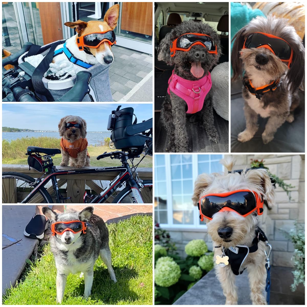 NAMSAN gogle dla zwierząt, okulary przeciwsłoneczne dla psów, ochrona przed promieniowaniem UV, wiatroszczelne, dla szczeniaków, regulowane elastyczne paski dla małych i średnich psów, pomarańczowe