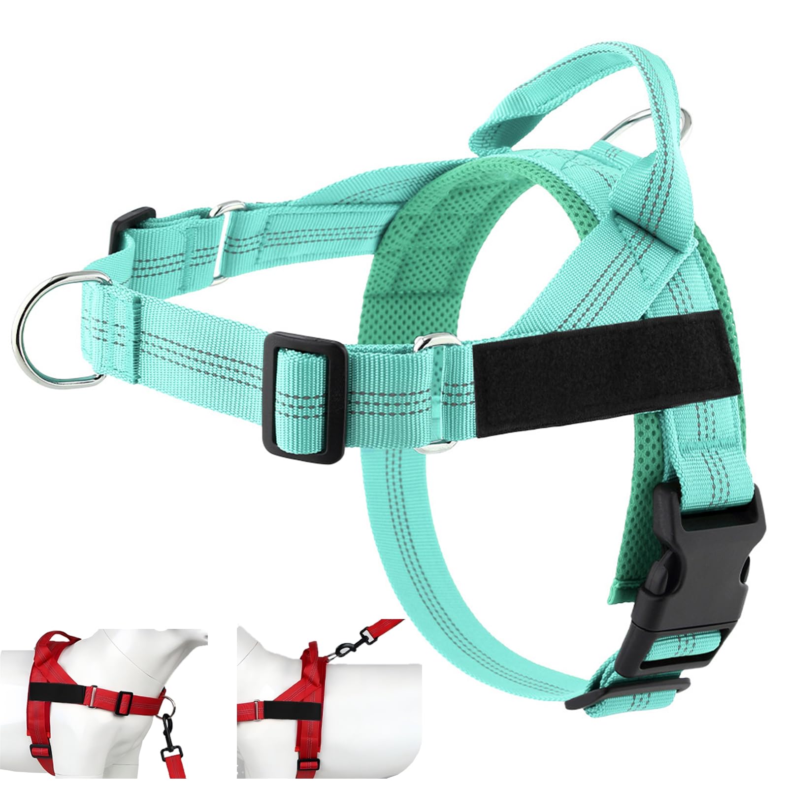 ParoPet No Pull Dog Harness (Turquoise, XL)