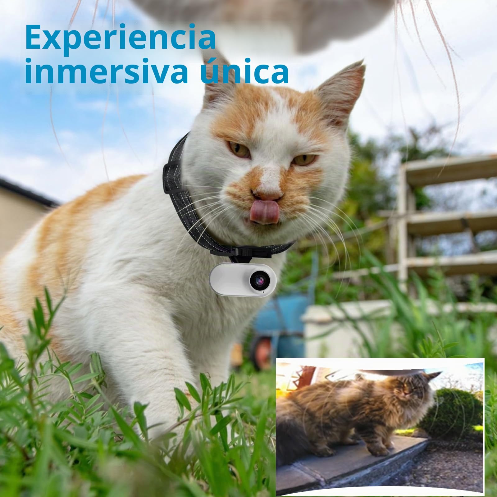 HD 1080P - Collar para cámara de Gato con grabación de Video, Mini cámara Deportiva inalámbrica, cámaras de acción pequeñas, cámara Corporal para Suministros para Mascotas, artículos para
