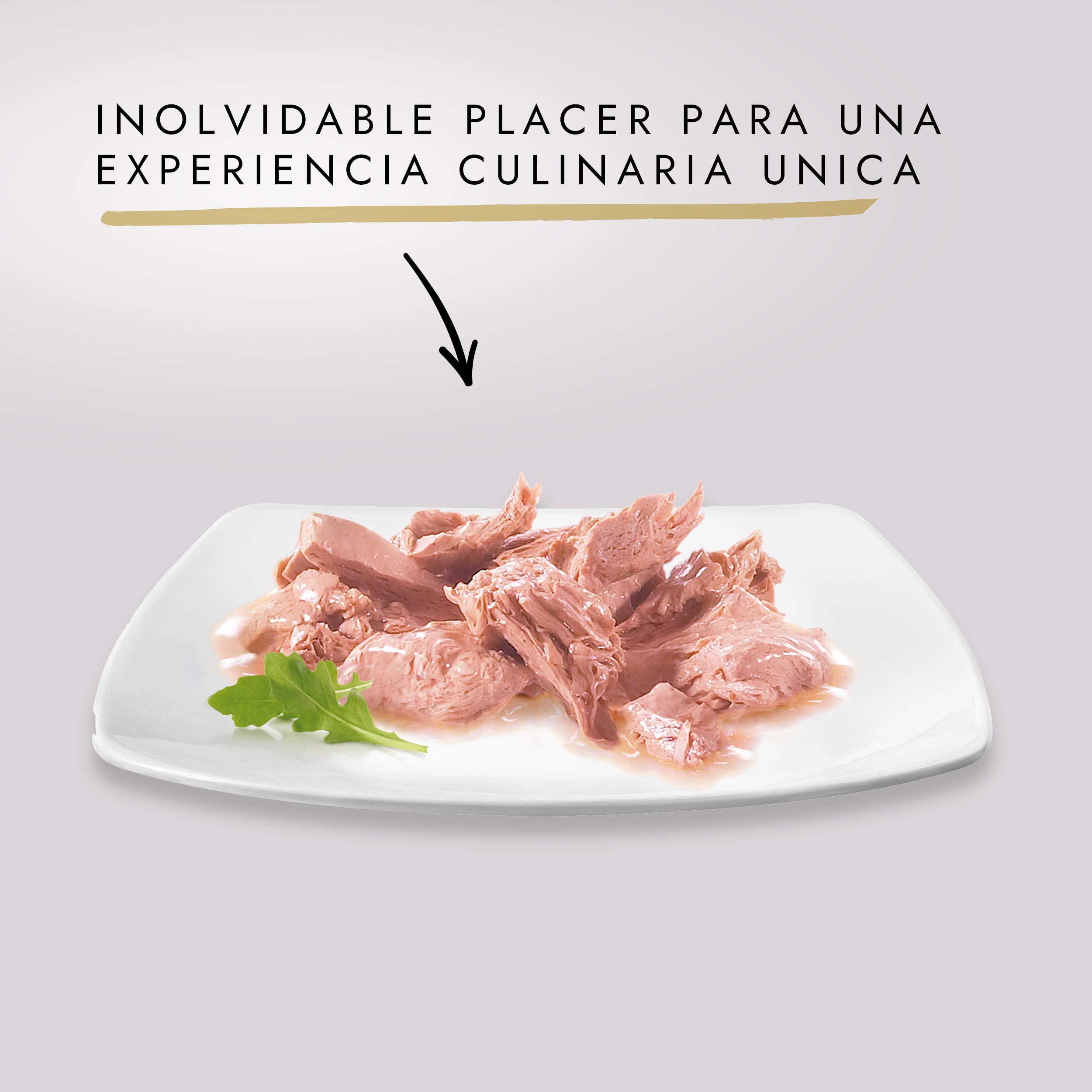 Purina Gourmet Diamant Mini Filetes en Salsa, Comida Húmeda para Gato con Carnes Asadas, 24 latas de 85g & Purina Nature's Creations Comida Húmeda Natural para Gato con Pollo, 24 latas de 85g