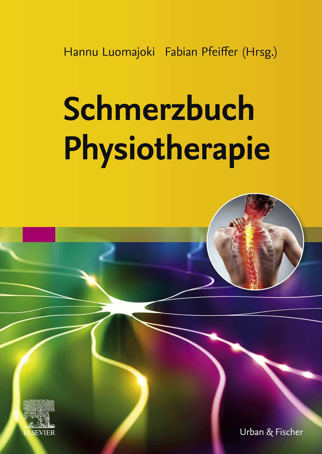 Schmerzbuch Physiotherapie (PHYSIOTHERAPIE-KG-MASSAGE - Fachbuch - Urban&Fischer-Verlag)