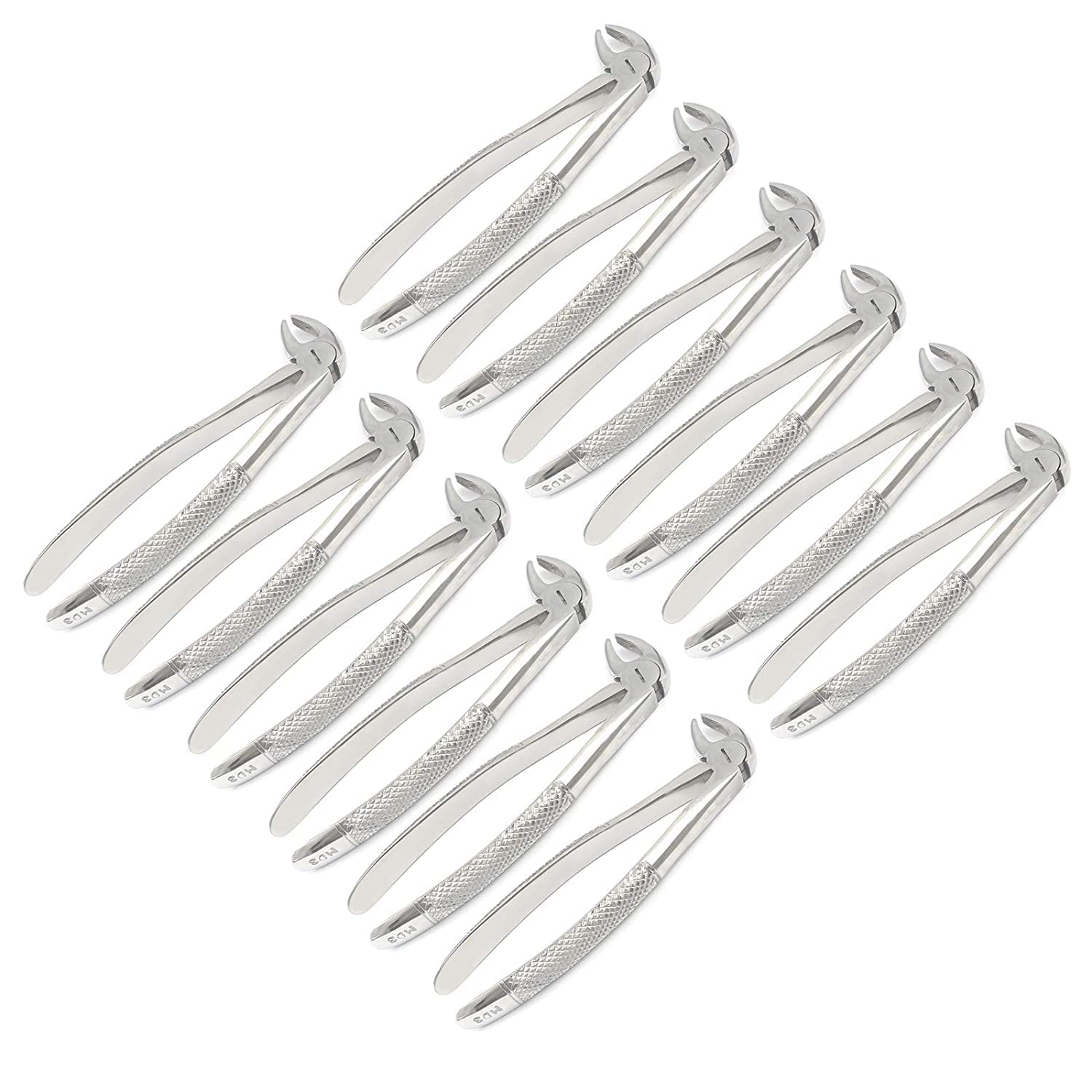 AAPROTOOLS Set of 12 Dental EXTRACTING Forceps #MD3 Dental Extraction Instruments A+ Quality