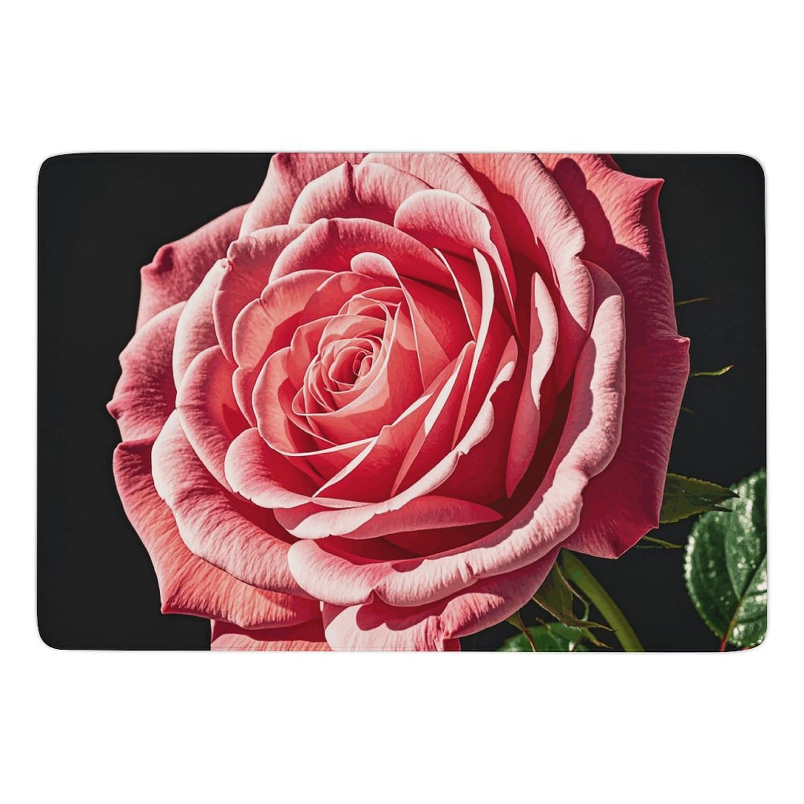 Tapis de bain antidérapant grand format lavable et absorbant en velours