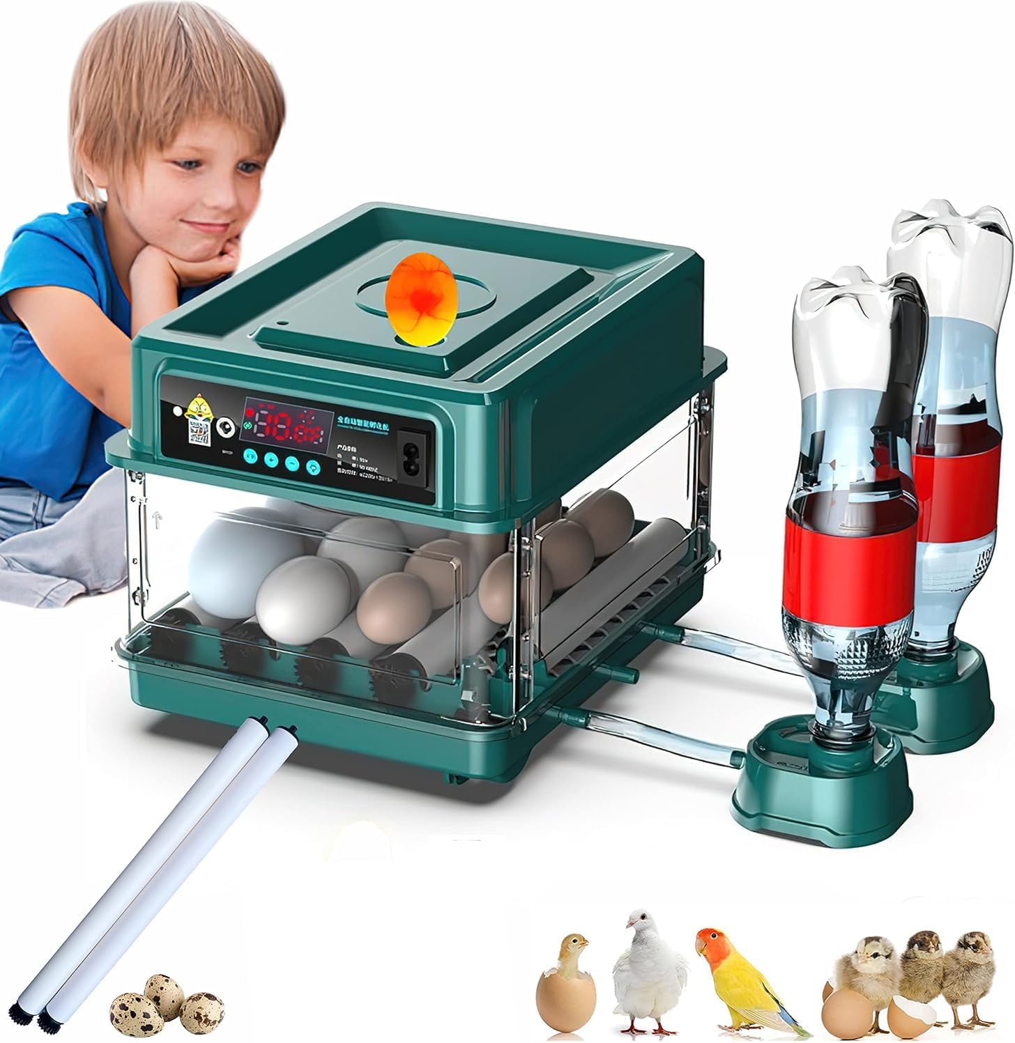 Egg Automatic Incubator 12-15 Eggs Automatic Intelligent Incubators for Hatching Eggs,Poultry Hatching Machine for Chicken Duck Goose Quail Bird Pigeon