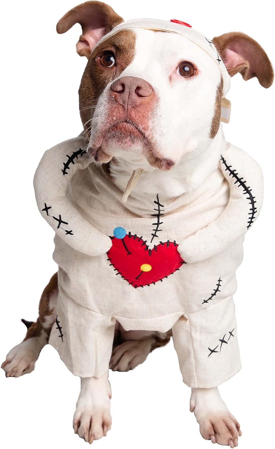 Pet Krewe Voodoo Doll Dog Costume - Perfect for Halloween, Parties, Photoshoots, Gifts for Dog Lovers (Regular) (Medium)