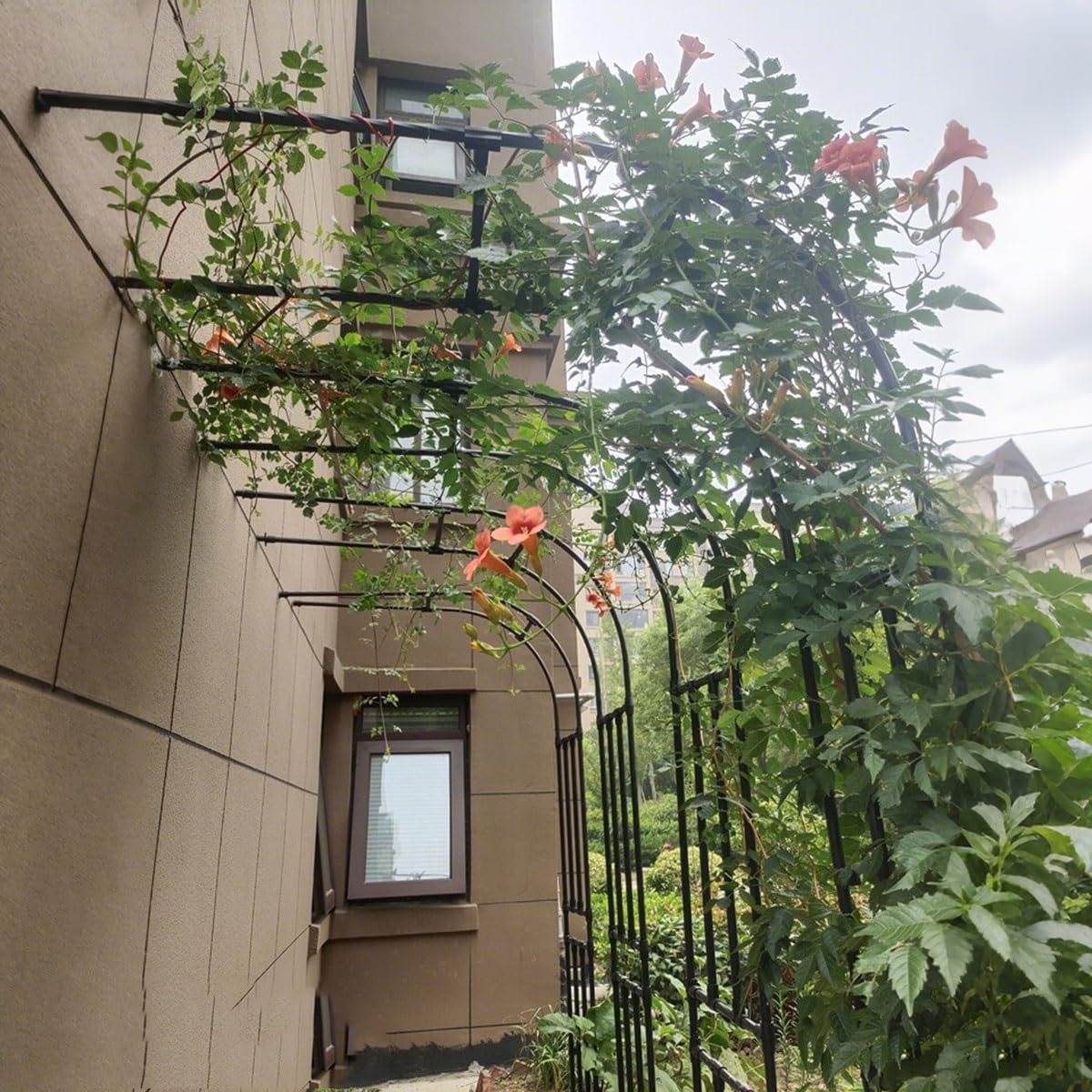 Arco Da Giardino Su Semiarco Archi Supporto Per Piante Rampicanti Sostegno Pergolato 120 150 180 220 230 300 Cm Traliccio In Acciaio Decorazioni Per Archi Facile Da Installare(W: 1.2m x H: 2.7m)
