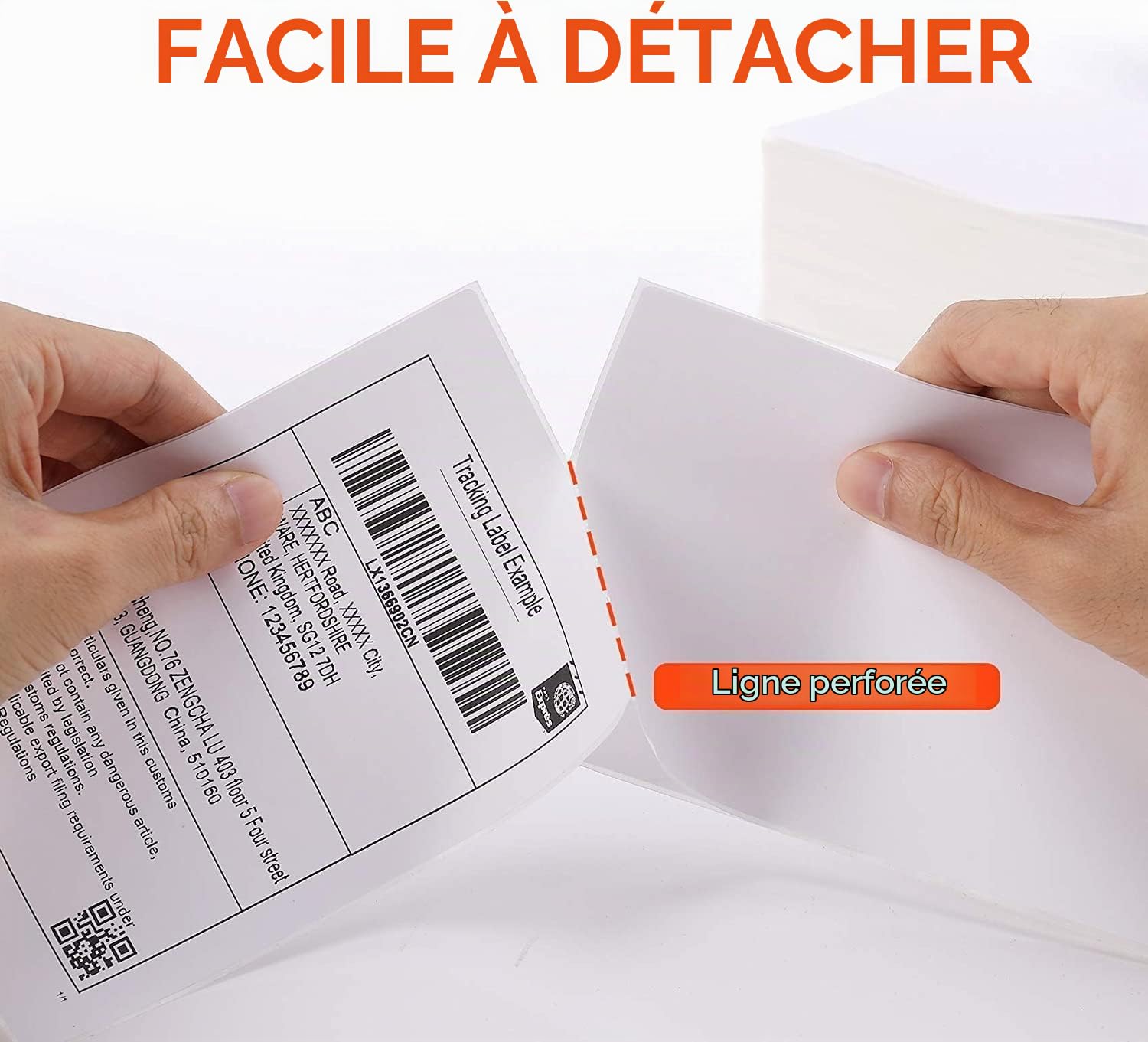 Phomemo Kit d'Impression Thermique : Porte-Étiquettes 2-en-1 & 2 Rouleaux d'Étiquettes d'Expédition 4x6 (1000 Étiquettes) - Compatible avec MUNBYN, Phomemo, Rollo - Imperméable, Sans BPA