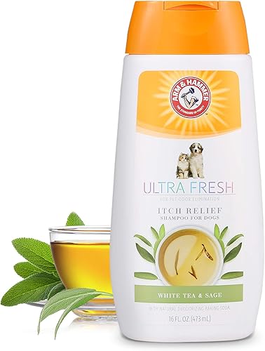 Miniatura 26 de Arm & Hammer Ultra Fresh Champú desenredante 2 en 1 + acondicionador, aroma a pera de pepino, baño para perros con aceite de coco, bicarbonato