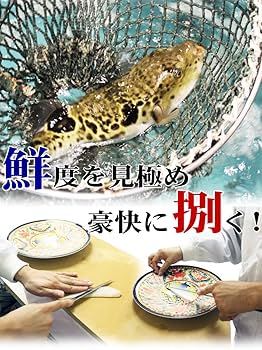 【貴重】魚介料理辞典　調理本 6巻セット 貴重】魚介料理辞典 調理本 6巻セット 貴重】魚介料理辞典 調理本 6
