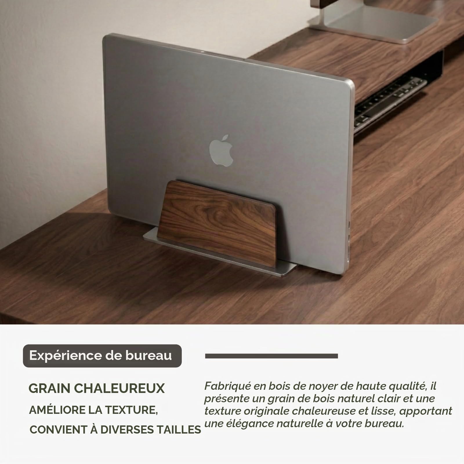 muso wood Walnut Support vertical pour ordinateur portable avec station