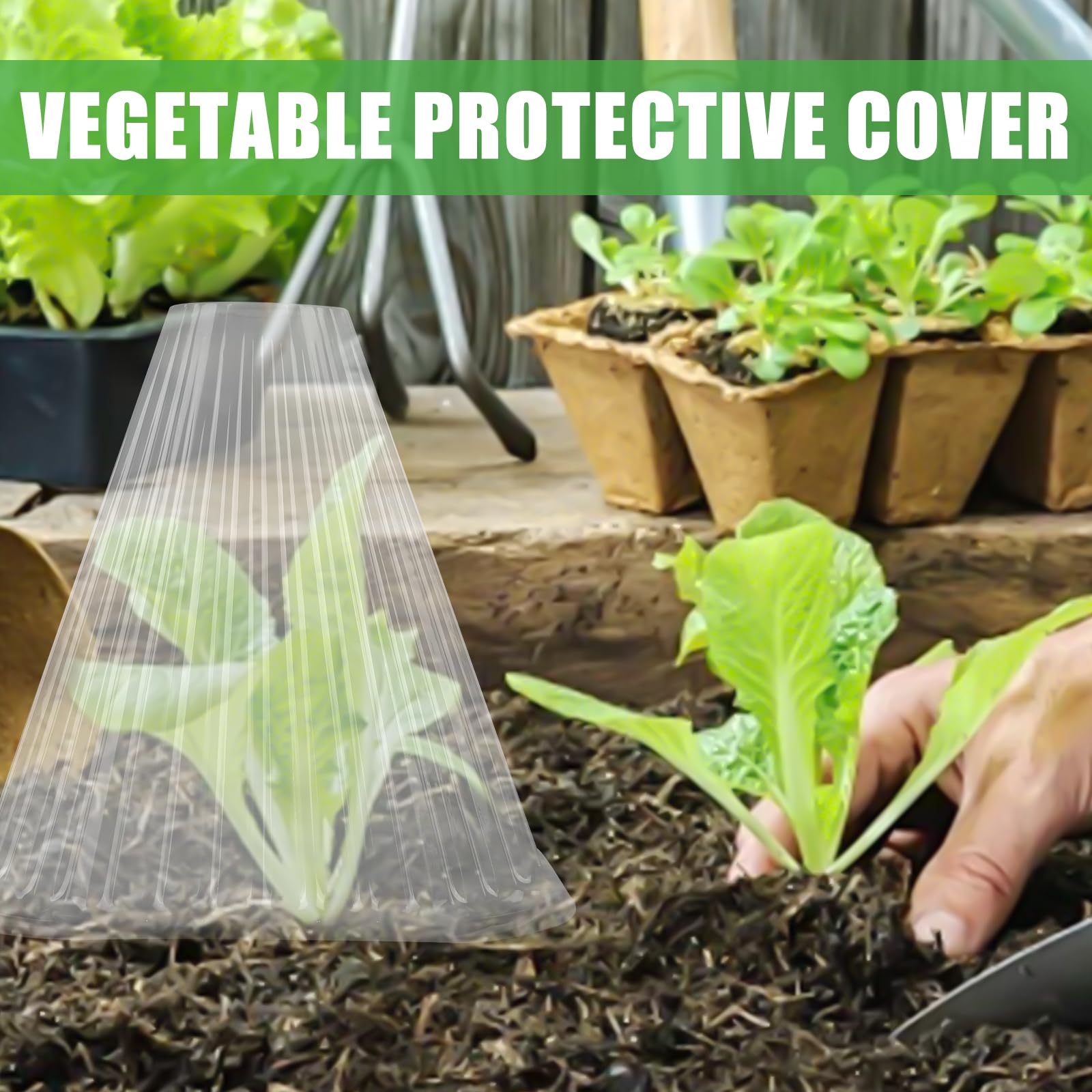 BAIFULAI Lot de 30 chapeaux de plantes transparents Ø 19 cm réutilisables protection contre oiseaux limaces gel