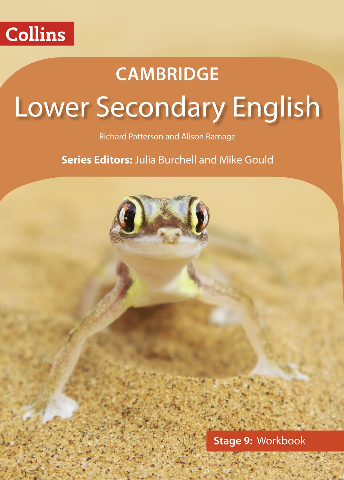 Lower Secondary English Workbook: Stage 9 (Collins Cambridge Lower Secondary En