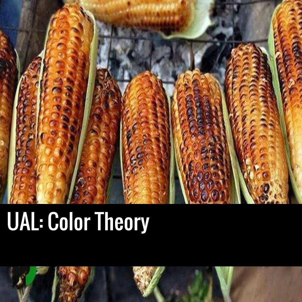 Color Theory English Edition le guide UAL pour harmoniser l'atelier de l'artiste