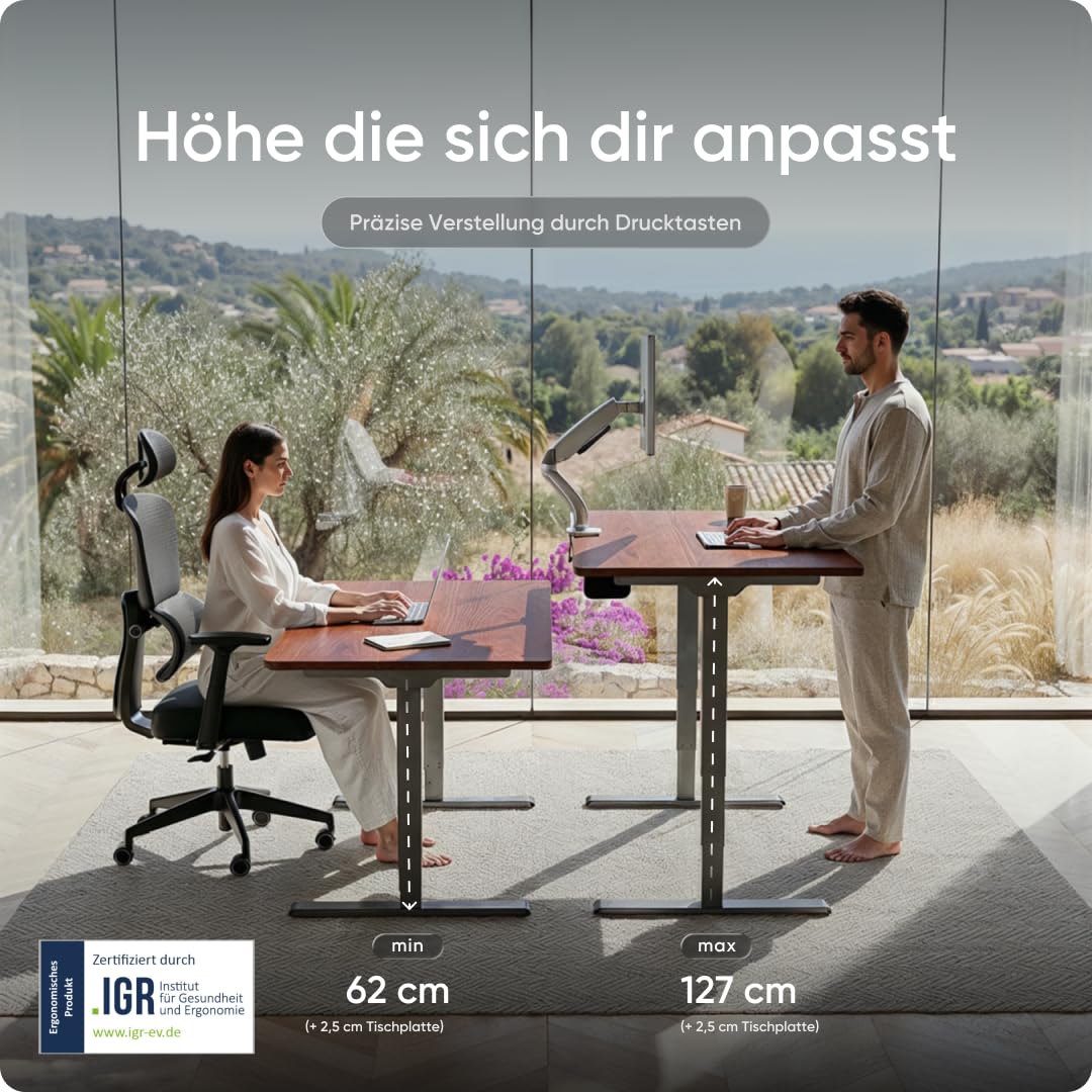 PRO Plus Elektrisch höhenverstellbarer Schreibtisch - Ergonomischer Stehpult mit Memoryfunktion Kollisionschutz (Graues Gestell, Mahagoni Tischplatte, 200 x 80 cm)
