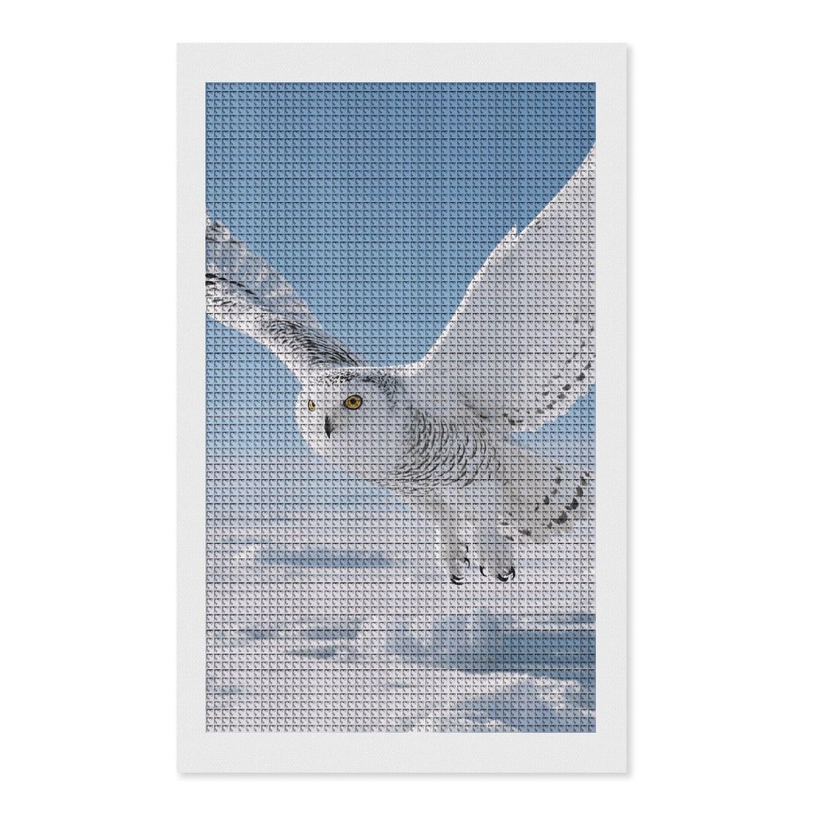 FodPand White Snowy Owl 5D Diamond Painting Kits for Adults Beginners Full Drill Square Diamond Dots Pictures Gem Art Supplies for Home Wall Room Decoration DIY Craft Set Gift 12X20