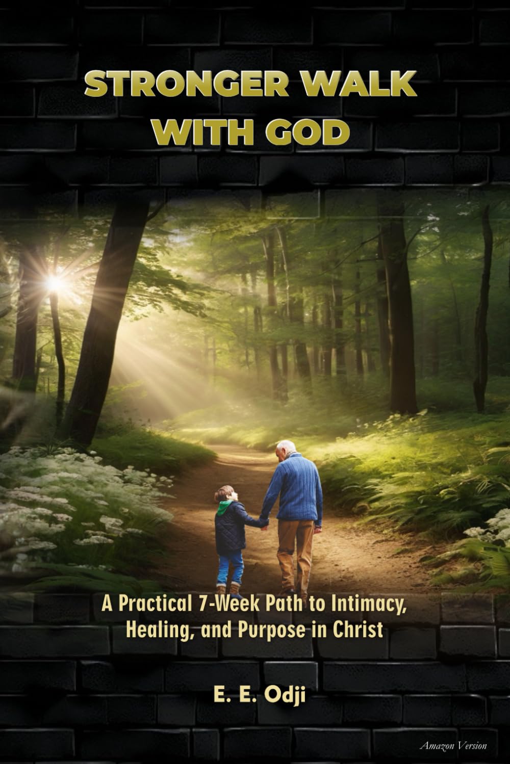 Stronger Walk with God: A Practical 7-Week Path to Intimacy, Healing and Purpose in Christ (Devotion on the Go Series)