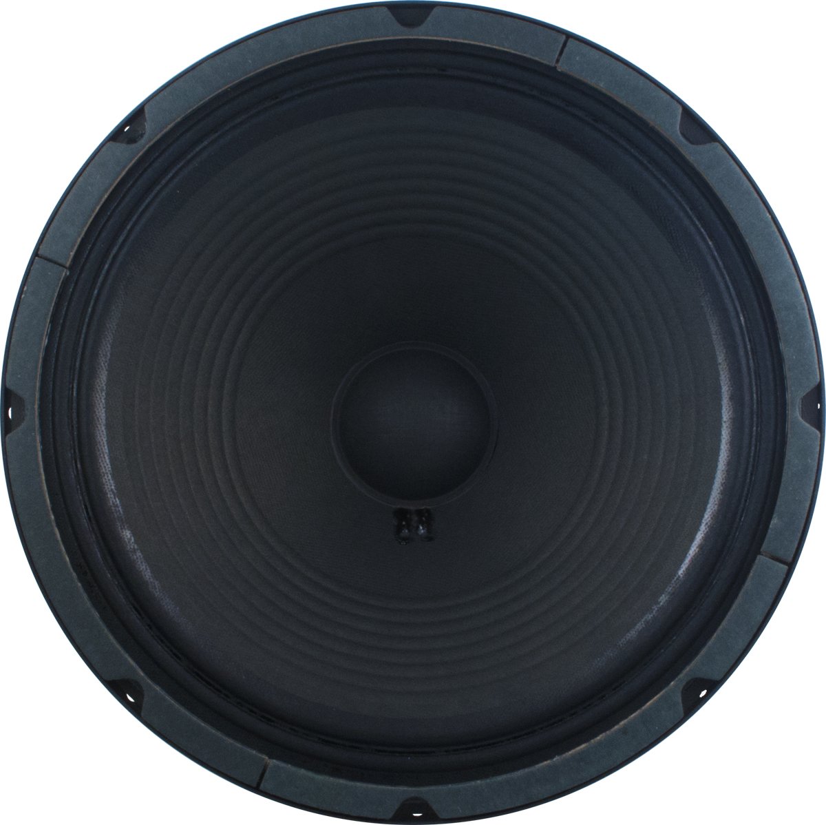 Amazon.com: Jensen Speaker, Black, 12” (12-100TR-8) : Electronics