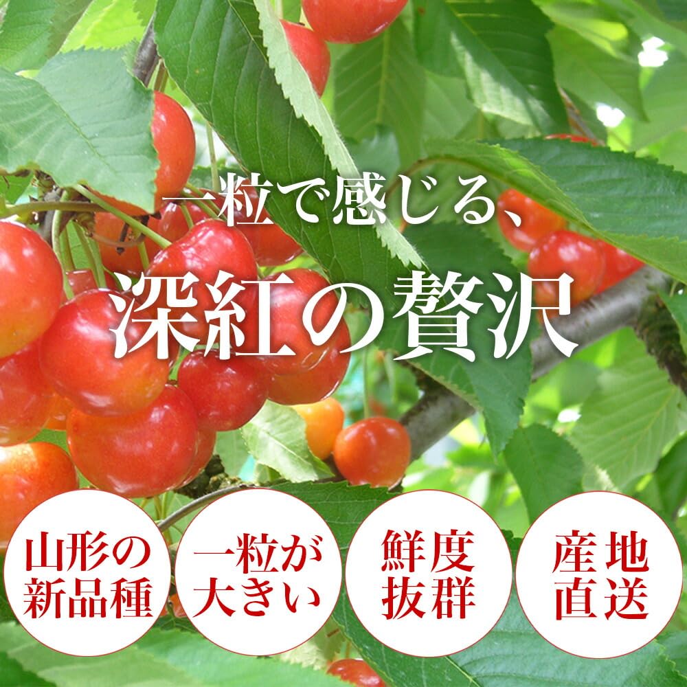 Amazon.co.jp: 山形県産 秀品 3L玉 さくらんぼ やまがた紅王 100g×2