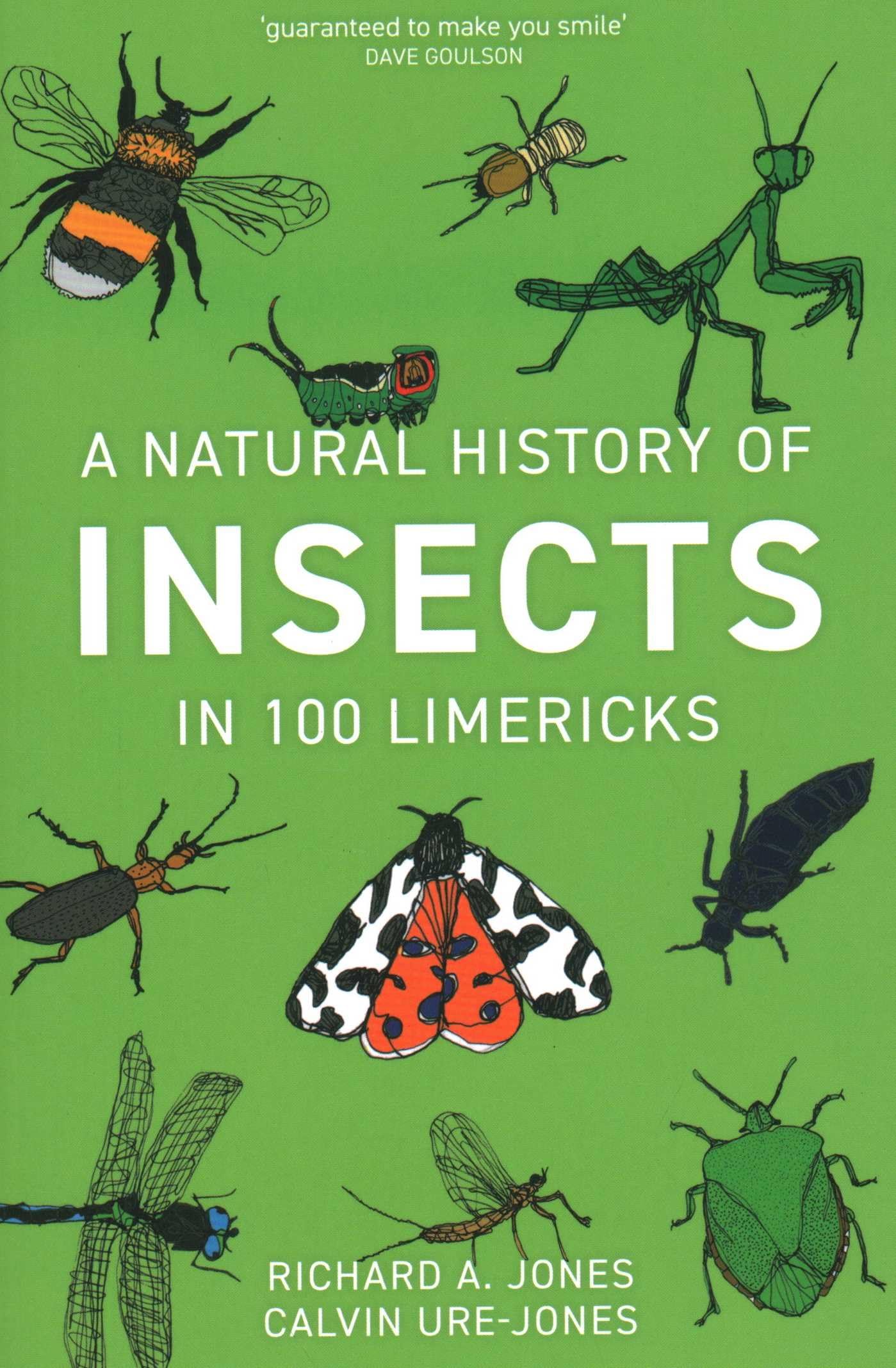 A Natural History of Insects in 100 Limericks by Richard Jone... - 9781784272500