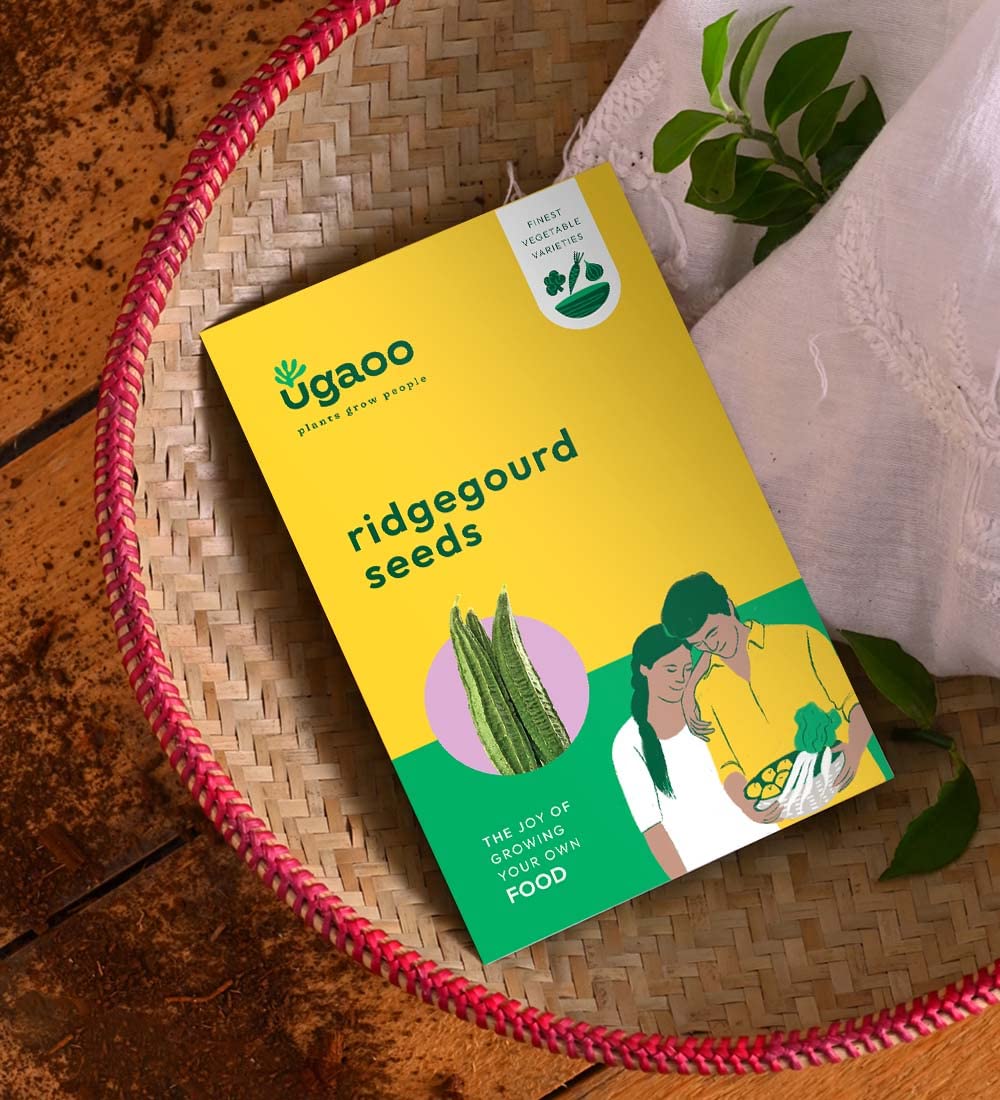 UGAOO Ridge Gourd Vegetable Seeds (Green, Pack of 2.4g) (B09MLN1JN6) Amazon Price History, Amazon Price Tracker